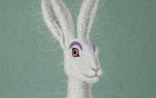 丝网印刷《兔母子》版画创作视频