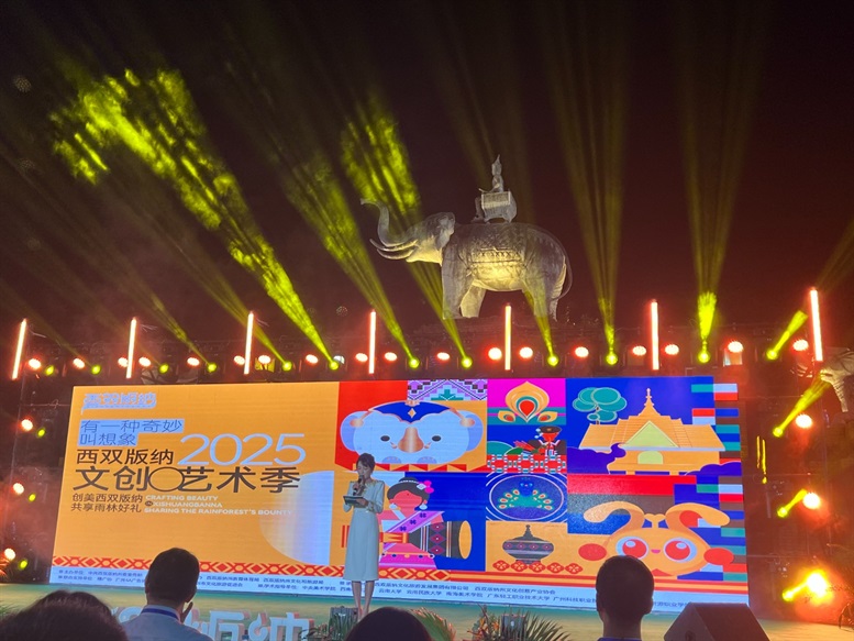 2025 Xishuangbanna Cultural & Creative Art Festival 5